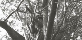 NAGAWKI - czerwiec 2008