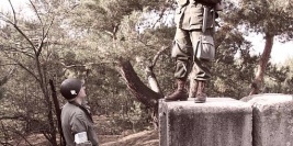 TORUŃ - październik 2008